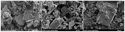 Cocrystal Formation of Betulinic Acid and Ascorbic Acid: Synthesis, Physico-Chemical Assessment, Antioxidant, and Antiproliferative Activity